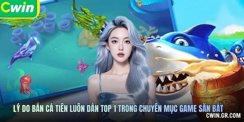 Giao Diện, Vũ Khí Và Loại Điểm