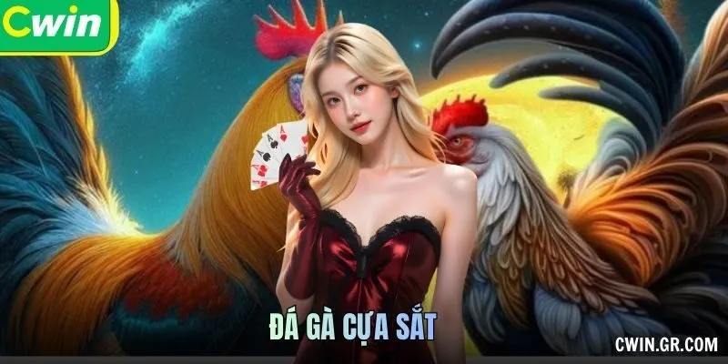 Đá Gà Cựa Sắt: Giống Gà Và Luật Được Mô Tả