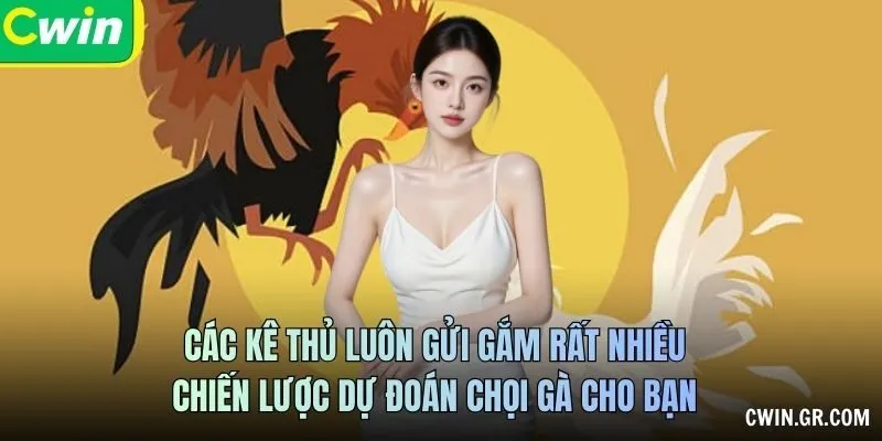 Mã trận, dữ liệu và giới hạn nhận định Thomo