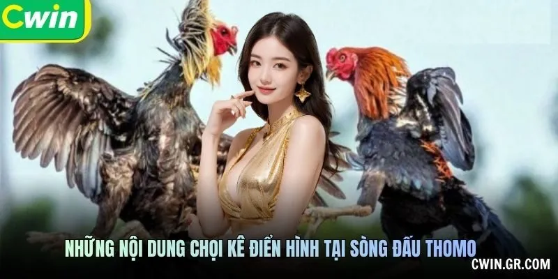 Những nội dung chọi kê điển hình tại sòng đấu Thomo