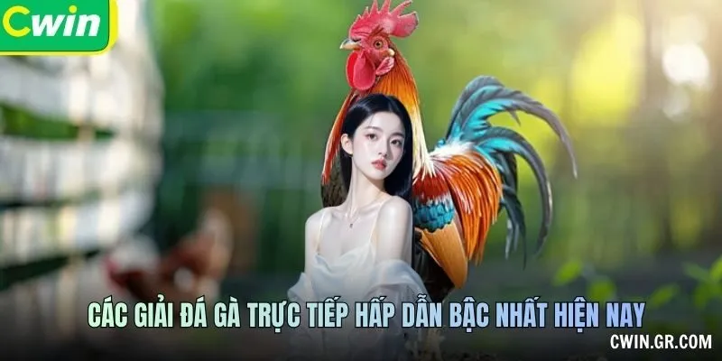 Tên địa điểm, dụng cụ và nhóm gà