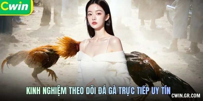 Kết nối, xem lại và giới hạn quan sát Đá Gà